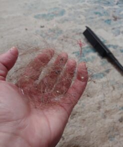 FURemover Original Indoor Pet Hair Rubber Broom and Pet Hair Remover Lint Brush Set, Colors May Vary FURemover Broom and Brush Combo 49 A1TiTJTk5HL