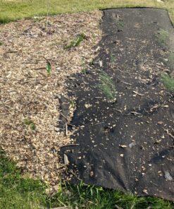 Premium 5oz Pro Garden Weed Barrier Landscape Fabric by ECOgardener - Durable & Heavy-Duty Weed Block Gardening Mat, Easy Setup & Superior Weed Control, Eco-Friendly & Convenient Design, 4ft x 50ft 5oz - 4ft x 50ft 24 A1TqbhGg7EL