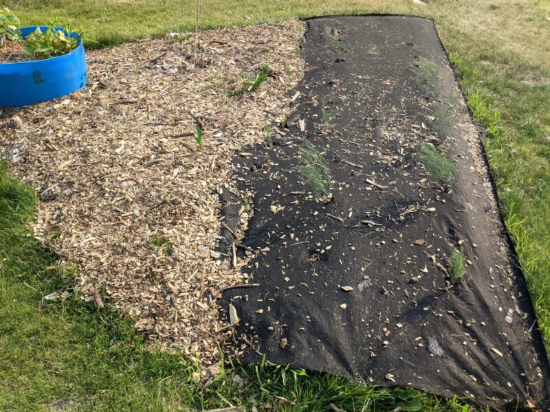 Premium 5oz Pro Garden Weed Barrier Landscape Fabric By ECOgardener