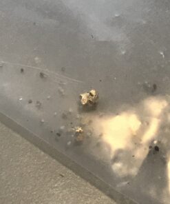 SE Gold Panning Mining Accessories Kit - Includes 10" 14" Gold Pans, 1/2" Sifting Screen, 2 Gold Vials, Snuffer Bottle, Tweezers, 7 Pieces 20 A1Tvw3SiEL