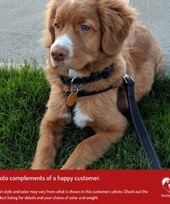 Dutchy Brand Pets Lovers Club Durable Dog Seatbelt - Heavy Duty Strap, Reflective Lines, 2 Adjustable Sizes (15-25in or 22-37in) Fits Small, Medium, Large, Extra Large Dogs Red with Reflective Stripes 21 A1UVMqO5w7L