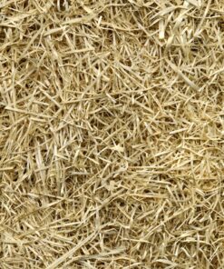 EZ-Straw Just Straw Clean Processed Straw – Multi Purpose - Small Bale (1 Cubic Foot) 1-(Pack) 12 A1UVnEoaK3L