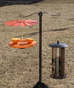 Kettle Moraine Super Oriole Recycled Orange Fruit, Jelly, Mealworm Bird Feeder w/Orange Roof 44 A1V3Pmmn6NL