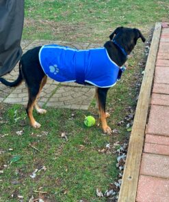 Zack & Zoey Nor'Easter Blanket Coat, Large, Blue 1 Dark Blue 34 A1VOICjiPjL 2