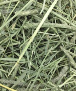 Oxbow Animal Health Western Timothy Hay - All Natural Hay for Rabbits, Guinea Pigs, Chinchillas, Hamsters & Gerbils-Veterinarian Recommended- Digestive & Dental Health- Grown in the USA- 9lb. 9 Pound (Pack of 1) 28 A1ZhFHtftNL