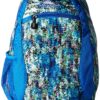 High Sierra Curve Backpack, Python/Vivid Blue/Black, 18.5 x 12.5 x 8.5-Inch