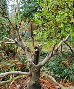 Jet Black Tourmaline Healing Tower Crystal Obelisk Meditation Protection Evil Energy Positivity Agate Approx 3 inch Long Black 32 A1b7KcU6iYL