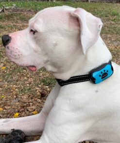 Humane Dog Bark Collar 2 Pack | Anti Barking Training Collar | Vibrating, No Shock Stop Barking for Small Medium Large Dogs | Excessive Barking Pet Corrector, (Battery) Orange & Blue Battery 37 A1baXWNNjdL