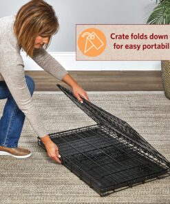 Medium Dog Crate | MidWest Life Stages 30" Double Door Folding Metal Dog Breed Crate | Divider Panel, Floor Protecting Feet & Dog Pan | 30.6L x 19.3W x 21.4H Inches 30.6"L x 19.3"W x 21.4"H Lifestages; Double Door 30 A1bgAnKLYDL