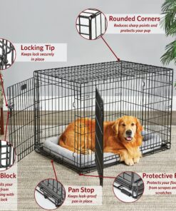 MidWest Homes for Pets Large Dog Crate | MidWest Life Stages Double Door Folding Metal Crate | Divider Panel, Floor Protecting Feet, Leak-Proof Pan | 42L x 28W x 31H Inches For Large Dog Breed 42.0"L x 28.0"W x 30.0"H Lifestages; Double Door 31 A1bzkBU2ML