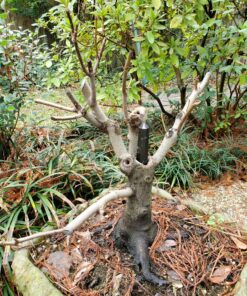 Jet Black Tourmaline Healing Tower Crystal Obelisk Meditation Protection Evil Energy Positivity Agate Approx 3 inch Long Black 33 A1cpPeKcV5L