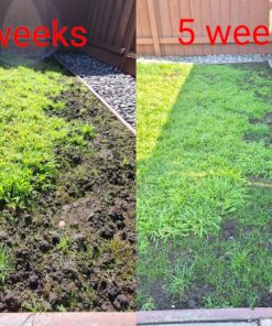 Scotts EZ Seed Patch & Repair Sun and Shade Mulch, Grass Seed, Fertilizer Combination for Bare Spots and Repair, 4 lb 3.75 lb. 1 Pack 36 A1ctBUNXZtL