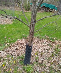 Greenworks 40V 16" Brushless Cordless Chainsaw (Great For Tree Felling, Limbing, Pruning, and Firewood / 75+ Compatible Tools), 4.0Ah Battery and Charger Included 16" (4.0Ah) Gen 1 68 A1dhb2pEgL