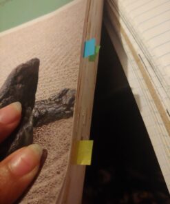 Book Darts Line Markers - 125 Count Tin Mixed Metals Bookmarkers Original Version 44 A1eETCFasBL