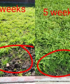 Scotts EZ Seed Patch & Repair Sun and Shade Mulch, Grass Seed, Fertilizer Combination for Bare Spots and Repair, 4 lb 3.75 lb. 1 Pack 37 A1fuMqWhoXL