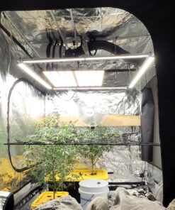 VIVOSUN 4 Inch Air Carbon Filter Smellines Control with Australia Virgin Charcoal for Inline Duct Fan, Grow Tent, Pre-filter Included, Reversible Flange 4" x 12" 37 A1fvIvYI6dL