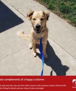 Dutchy Brand Pets Lovers Club Durable Dog Seatbelt - Heavy Duty Strap, Reflective Lines, 2 Adjustable Sizes (15-25in or 22-37in) Fits Small, Medium, Large, Extra Large Dogs Red with Reflective Stripes 22 A1h2zC1pgIL