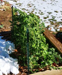 the Planket 11200 10 x 20 ft Frost Protection Plant Cover, Rectangular, Dark green 10 ft x 20 ft 29 A1iBGGfAiML