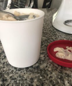 StarPack Ice Cream Containers for Homemade Ice Cream (2 Pcs) - Reusable Ice Cream Storage Containers for Freezer - Leak-Free Ice Cream Containers with Lids (Silicone) - 1 Liter per Ice Cream 2 Pc Set (Large) 46 A1iG5eZN5tL