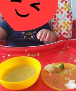 Munchkin® Love-a-Bowls™ 10 Piece Baby Feeding Set, Includes Bowls with Lids and Spoons, Multicolor 49 A1iKKtaSMaL