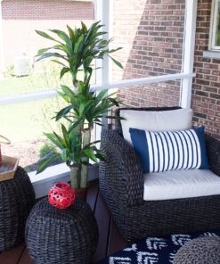 Nearly Natural - 6584 62in. Corn Stalk Dracaena Silk Plant (Real Touch), 24" x 28" x 62", Green artificial plant 34 A1ikKFC1V2L