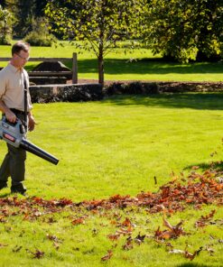 Oregon Cordless BL300 40V 151 MPH Leaf Blower with 4.0Ah Battery and Charger 12 A1kJE6pdoBL
