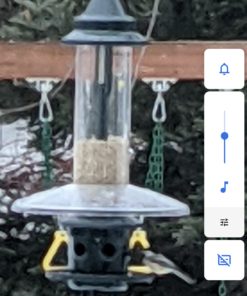 Weather Guard for Squirrel Buster Plus Bird Feeder (FEEDER NOT INCLUDED) 13" Diameter 41 A1l WocNouL