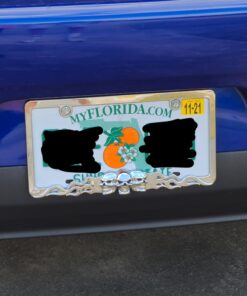 Custom Accessories 92812 Skull in Flames License Plate Frame 8 A1l6 KKfMWL