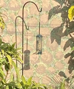 Lyric Fine Tunes Wild Bird Seed - No Waste Bird Food Mix - Attracts Bluebirds, Finches, Chickadees & More - 15 lb. Bag 15.00 Pound (Pack of 1) Seed Mix 45 A1ooMmf 1lL