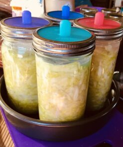 Masontops Complete Mason Jar Fermentation Kit - Pickle Kit, Sauerkraut Making Kit Kimchi Container - Fermentation Airlock Lids Wide Mouth Mason Jars 38 A1pYvUW1NL