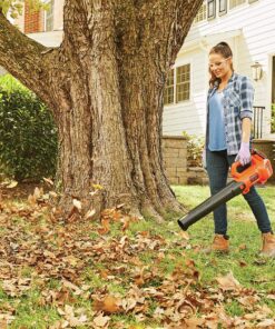 BLACK+DECKER 20V MAX Cordless Leaf Blower, 2-Speed, Up To 90 MPH, with Battery and Charger (BCBL700D1) 20V Leaf Blower Kit 27 A1pe33zEXLL