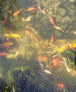 Aquascape 75000 Pond Air 2 (Double Outlet Aeration Kit) 2-Outlet 74 A1prWDfYeQL