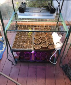 10 Plant Growing Trays (No Drain Holes) - 20" x 10" - Perfect Garden Seed Starter Grow Trays: for Seedlings, Indoor Gardening, Growing Microgreens, Wheatgrass & More - Soil or Hydroponic Black No drain holes 38 A1qFqnuA0qL