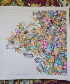 Mythographic Color and Discover: Animals: An Artist's Coloring Book of Amazing Creatures and Hidden Objects 58 A1qJddltSjL