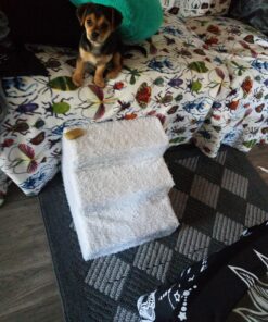 Etna Products JSNY Pet Stairs 3 Steps Stairs, Small Dog/Cat Steps White 38 A1rYzBBtHNL