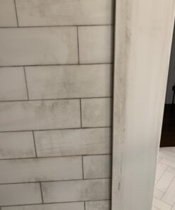 STONETECH Mold & Mildew Stain Remover 24oz Spray Bottle 48 A1shEsVkZ2L