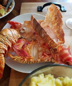 amco 8402 Rub-a-Way Bar Stainless Steel Odor Absorber, Single, Silver Original 43 A1snwWBq4DL