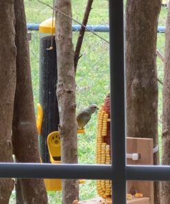 Stokes Select Thistle Tube Bird Feeder with Six Feeding Ports, Yellow, 1.6 lb Capacity - 38224, small 16 A1uTYvuc1EL