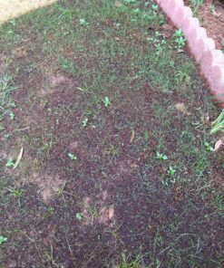 Scotts EZ Seed Patch & Repair Sun and Shade Mulch, Grass Seed, Fertilizer Combination for Bare Spots and Repair, 20 lb 20 lb. 1 Pack 57 A1wHgg HQL 1