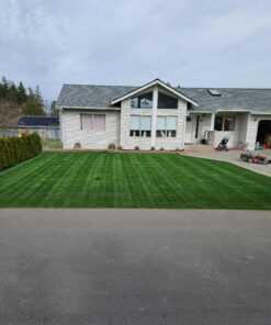 LawnLift 64 ounce Grass Paint factory 2nd with cosmetic blemishes on bottle, seal and label. May include dried paint or other unsightly blemishes on exterior of bottle. 47 A1wUtDluI4L