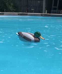 Poolmaster Adustable Chlorine Dispenser for Swimming Pools and Spas, Mallard 27 A1wacd8HRVL