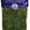 SuperMoss (26912) Spanish Moss Preserved, Grass, 8oz (200 cubic inch) 1