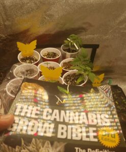 The Cannabis Grow Bible: The Definitive Guide to Growing Marijuana for Recreational and Medicinal Use 17 A1xgSgC54FL