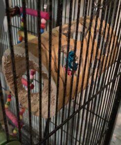 Alternative view of Bunny Blast Yucca Chew Toy Standard