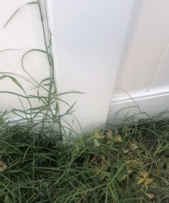 Roundup Ready-To-Use Weed & Grass Killer III -- with Sure Shot Wand, Use in & Around Vegetable Gardens, Tree Rings, Flower Beds, Patios & More, Kills to the Root, 1.33 gal. 34 B13 rFVVONS 2