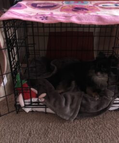 Paws & Pals Dog Crate, 24" Pet Cage, Wire Metal Kennel, with Tray, Foldable & Portable, Durable Steel Wire, Easy Setup, Ideal for Puppies & Kittens, Black 24.0"L x 16.0"W x 20.0"H 34 B13KJ238RS