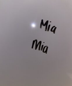 EXPO Low Odor Dry Erase Markers, Chisel Tip, Black, 2 Pack 19 B13QDTm4nmS