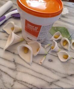 Caullet Glucose Syrup - 2.2 lb 2.2 Pound (Pack of 1) 12 B14LT92micS