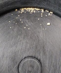 1st Choice Glass Vials, 1/2 Dram, Pack of 12 34 B14b1Za6x2S