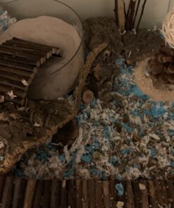 Kaytee Clean & Cozy White Small Animal Bedding 85 Liters 39 B14nAxKa6US 1